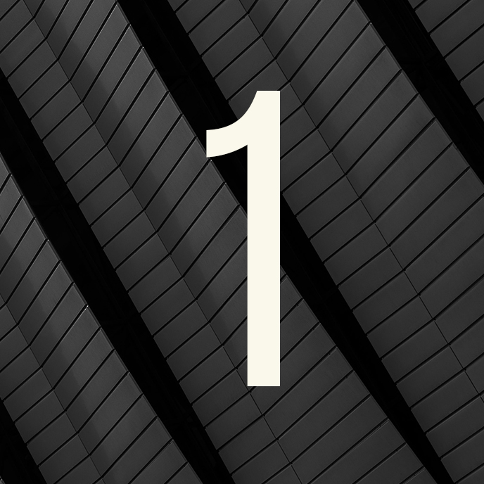 principle1