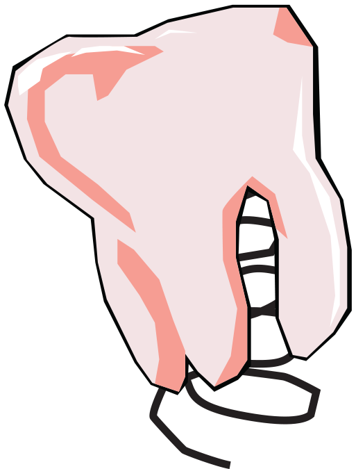 Tooth